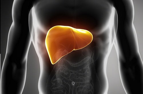 Cómo tratar los síntomas de la enfermedad del hígado graso
