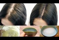 remedios caseros para el tratamiento y prevención de la caída del cabello